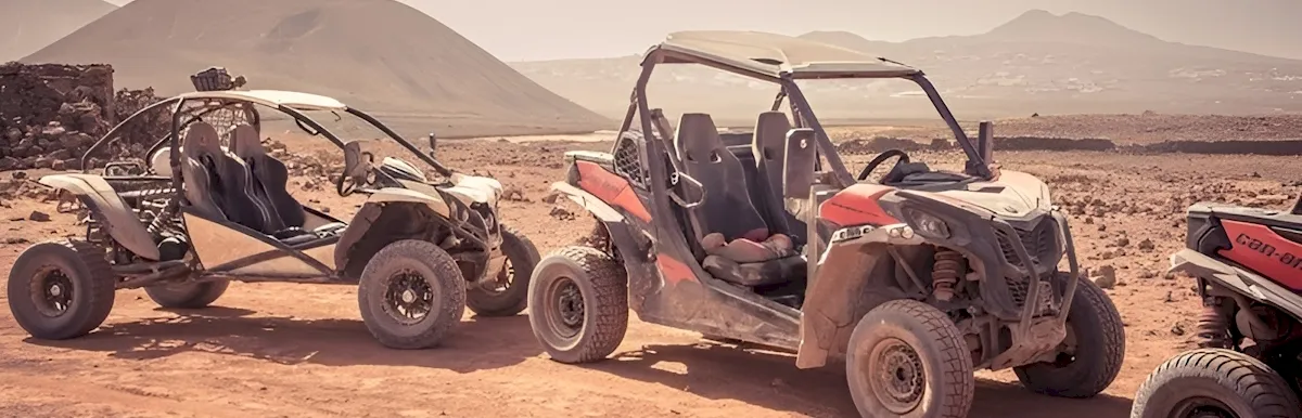 Read more about the article Can-Am® Powersports Models